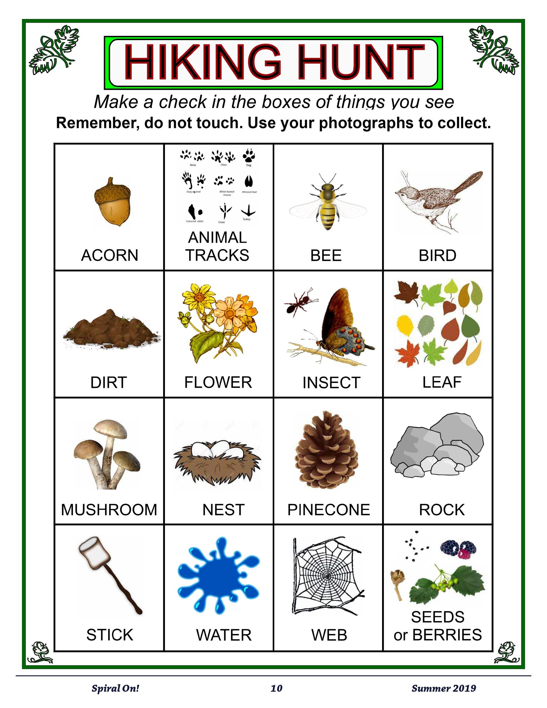 A hiking hunt for kids with pictures of different types of plants and animals, Summer 2019 magazine.