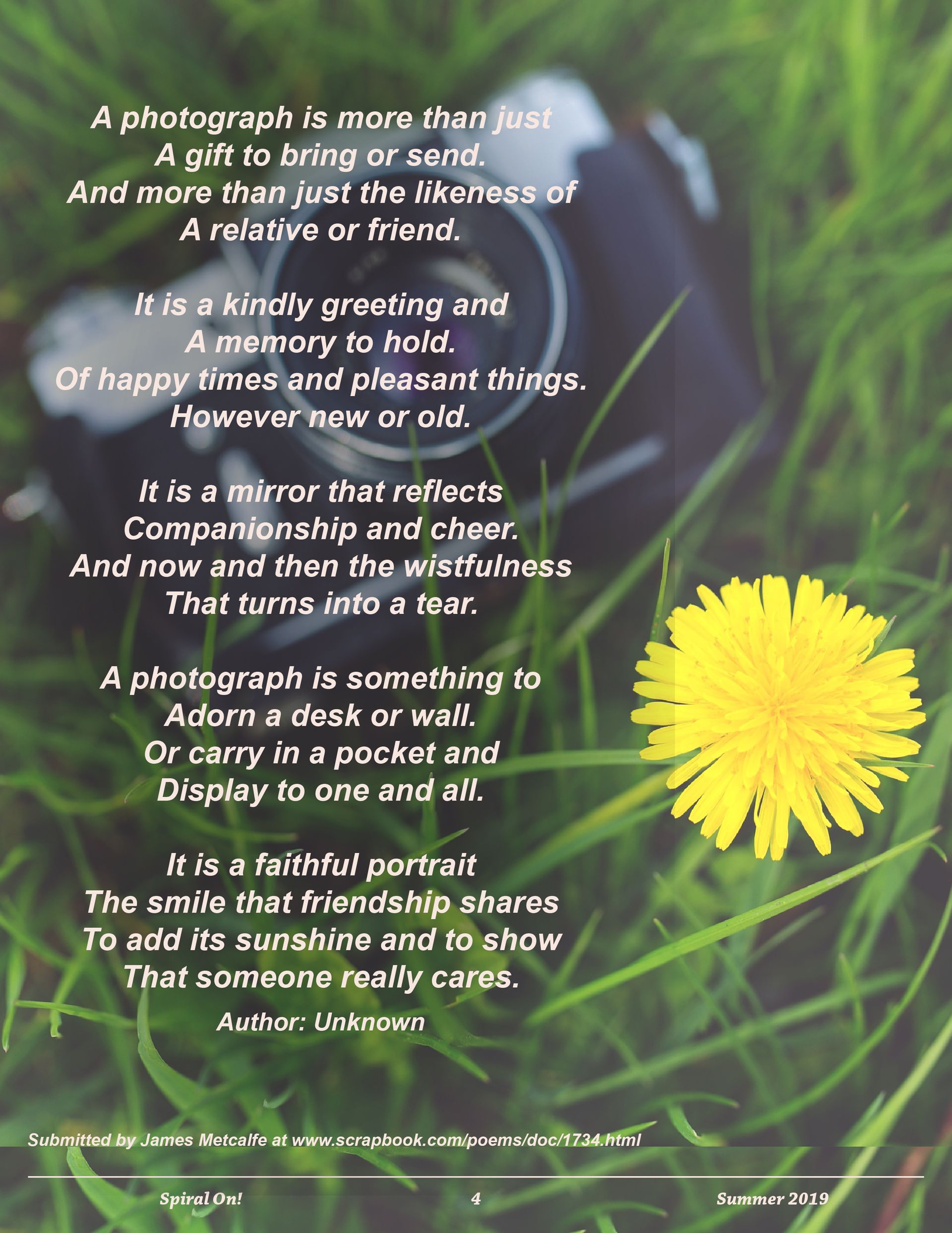 A picture of a dandelion with a poem on it, Summer 2019 magazine.