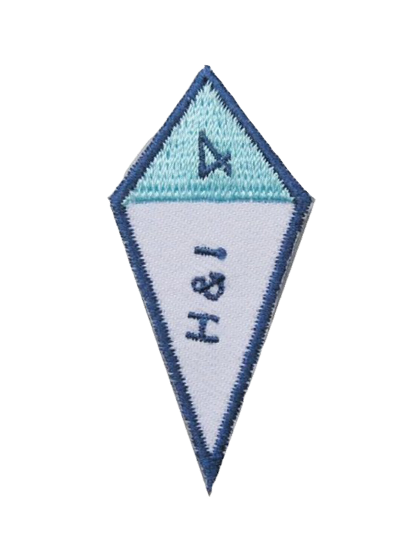 A blue and white triangle with the letters h & i on it award.