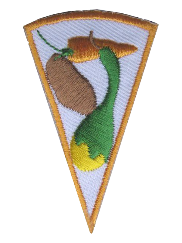 A triangle patch with a green duck holding a carrot award.