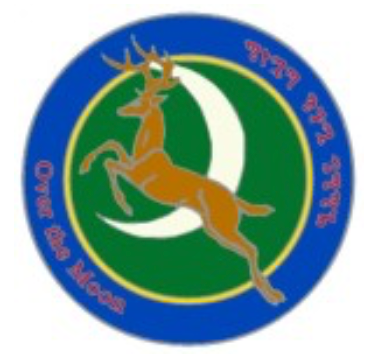 A deer is jumping over a crescent moon in a blue and green circle award.