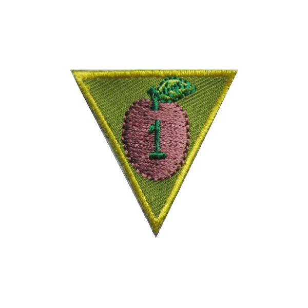 A green triangle with a pink apple and the number 1 on it badge.