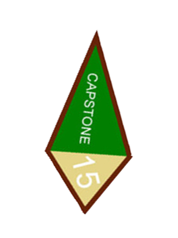 A green triangle with the words capstone a5 on it award.