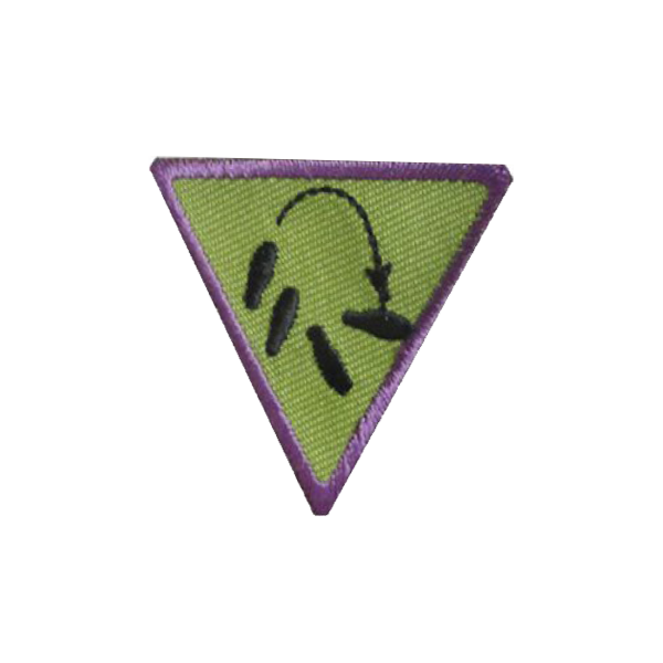 A green and purple triangle with a arrow pointing to the right badge.