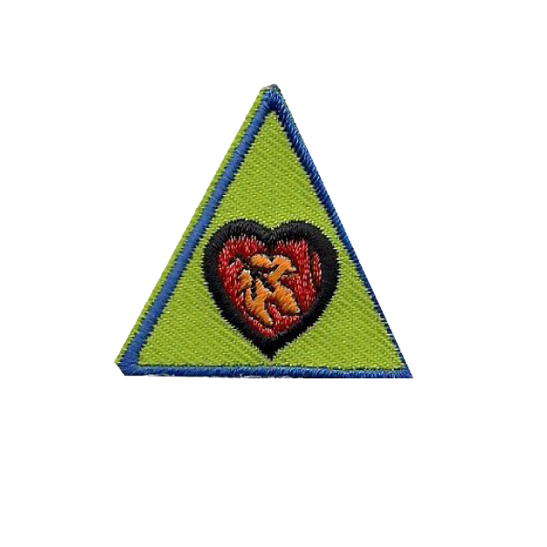 A green triangle with a heart in the middle