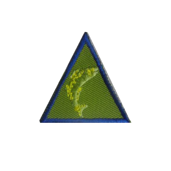 A green triangle with a picture of a fish on it badge.
