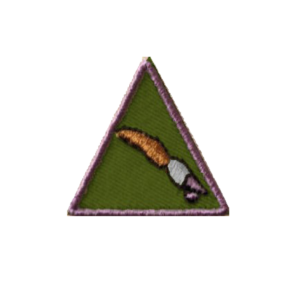 A green triangle with a brush on it badge.