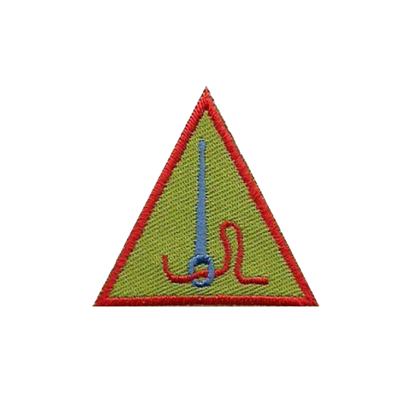 A green triangle with a red border has a needle in it