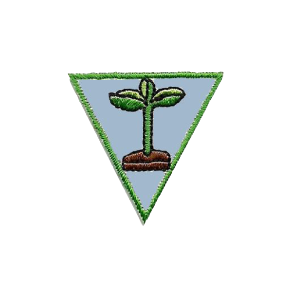 A triangle with a plant growing out of it badge.