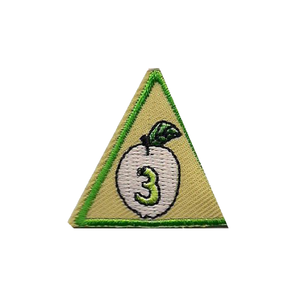 A triangle with the number 3 on it badge.