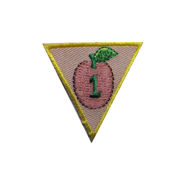 A triangle with an apple and the number 1 on it badge.