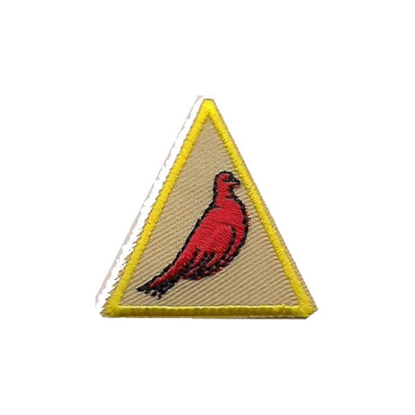 A triangle with a red bird on it badge.