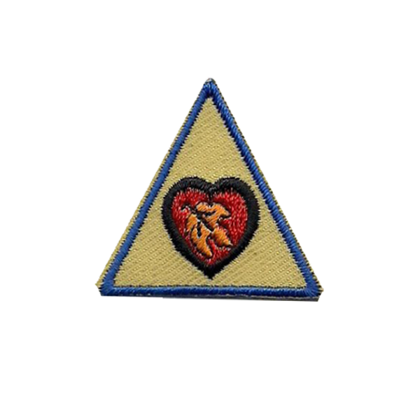 A triangle with a heart and the letter n on it badge.