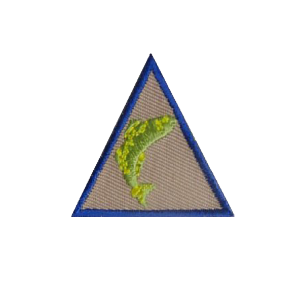 A triangle with a fish embroidered on it badge.