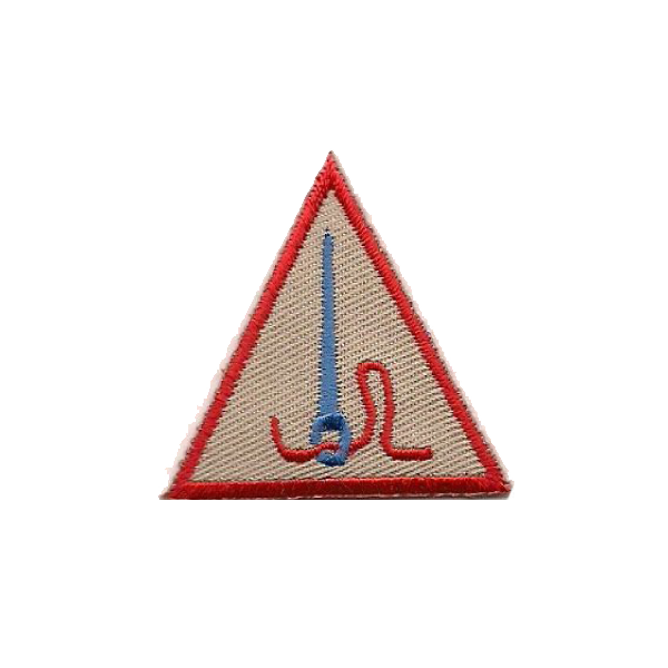 A triangle with a needle and a snake on it badge.
