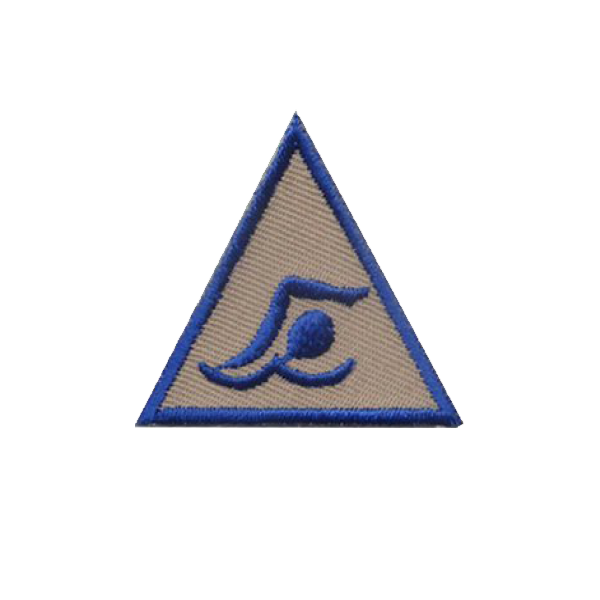 A blue and tan triangle with a swimming symbol on it badge.