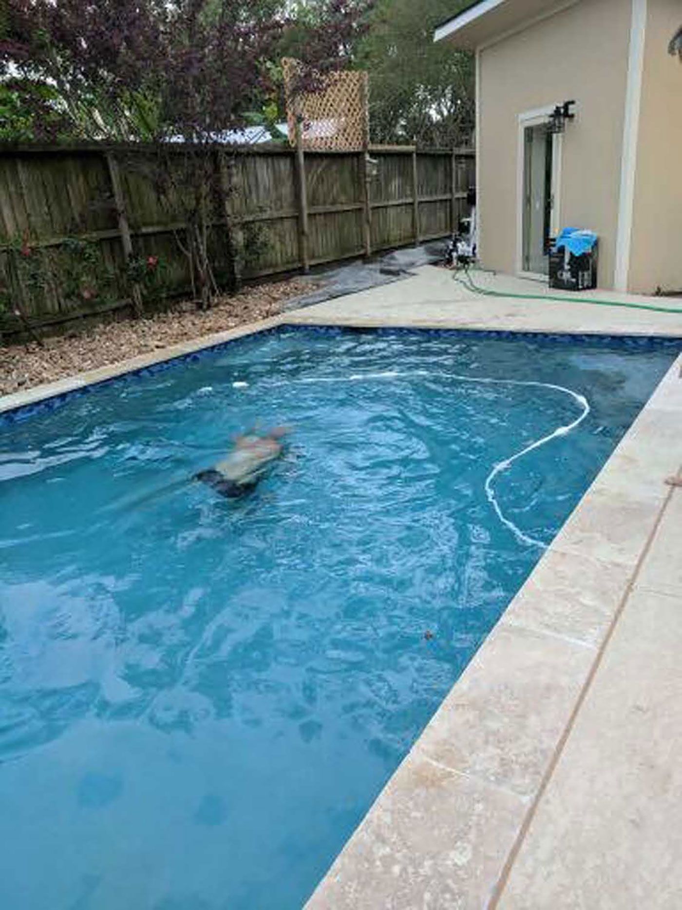 A large swimming pool with a fence and a house in the background.