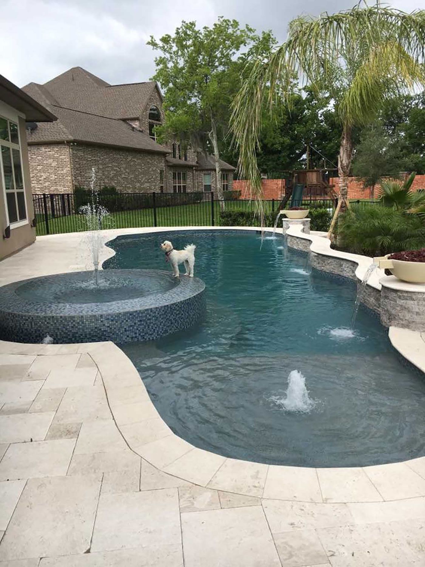 A dog is standing on the edge of a large swimming pool.