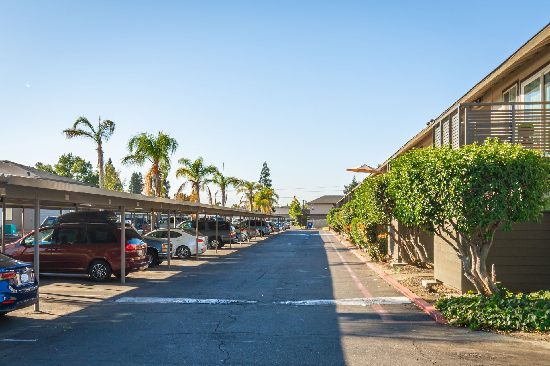 A row of cars are parked under a canopy in a parking lot.