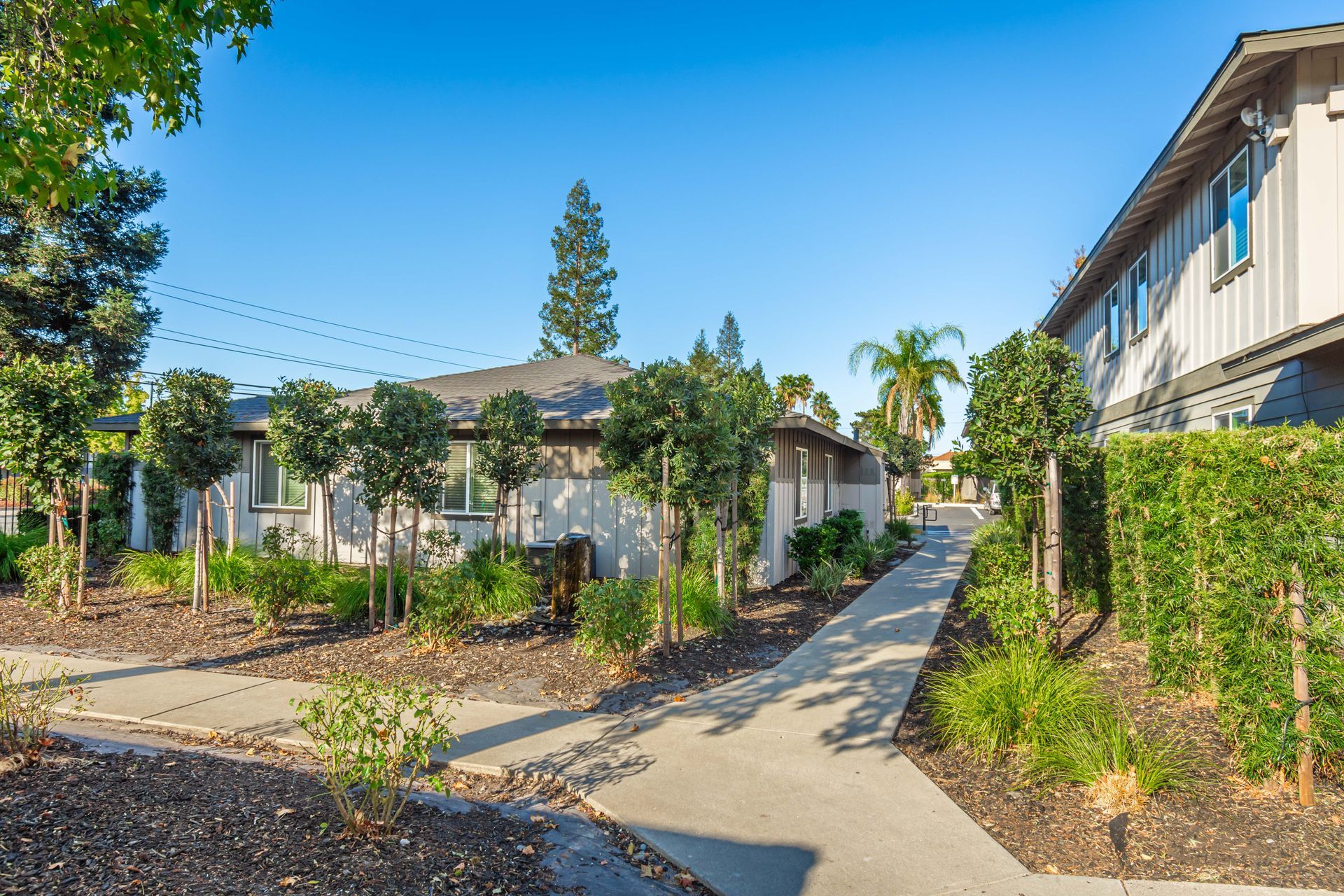 A row of houses with a walkway between them