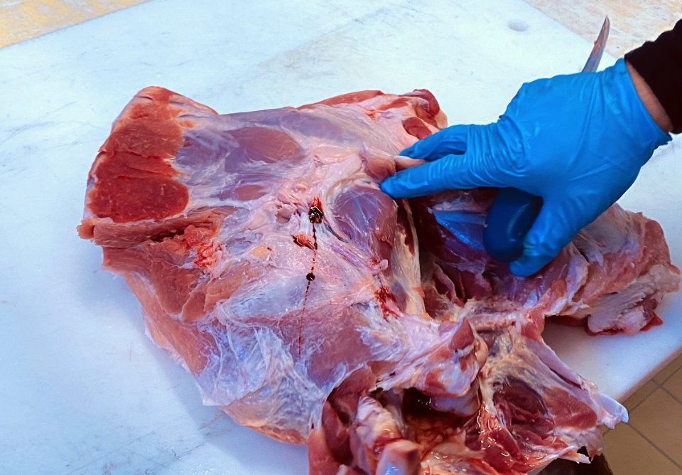 Macellazione carne