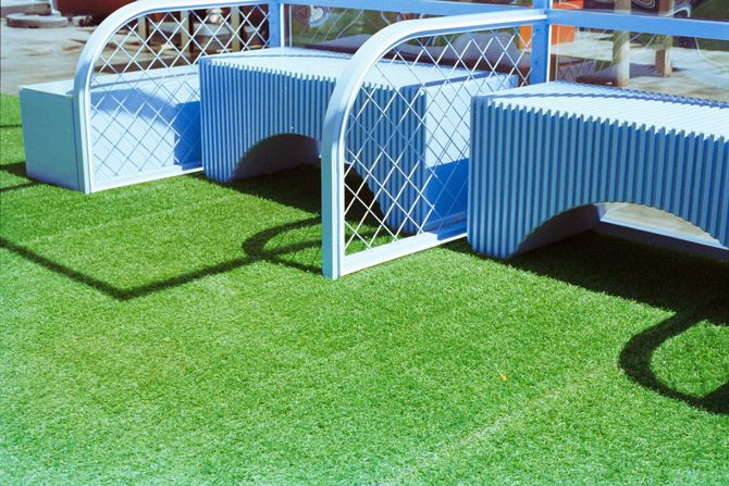 Blue and white canopy beds on green grass, casting shadows outdoors
