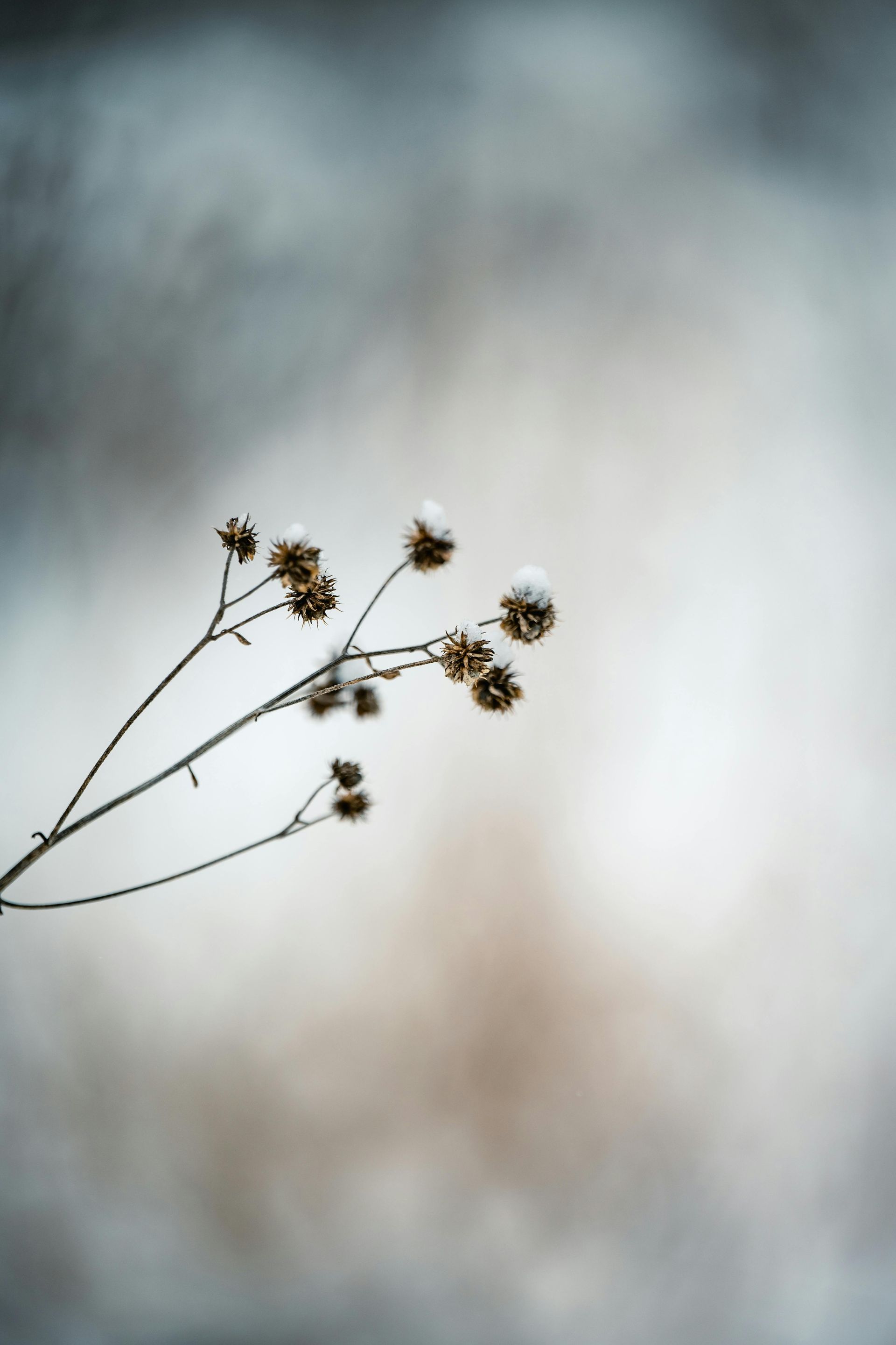 Speak Low Poetry | What Light Was 