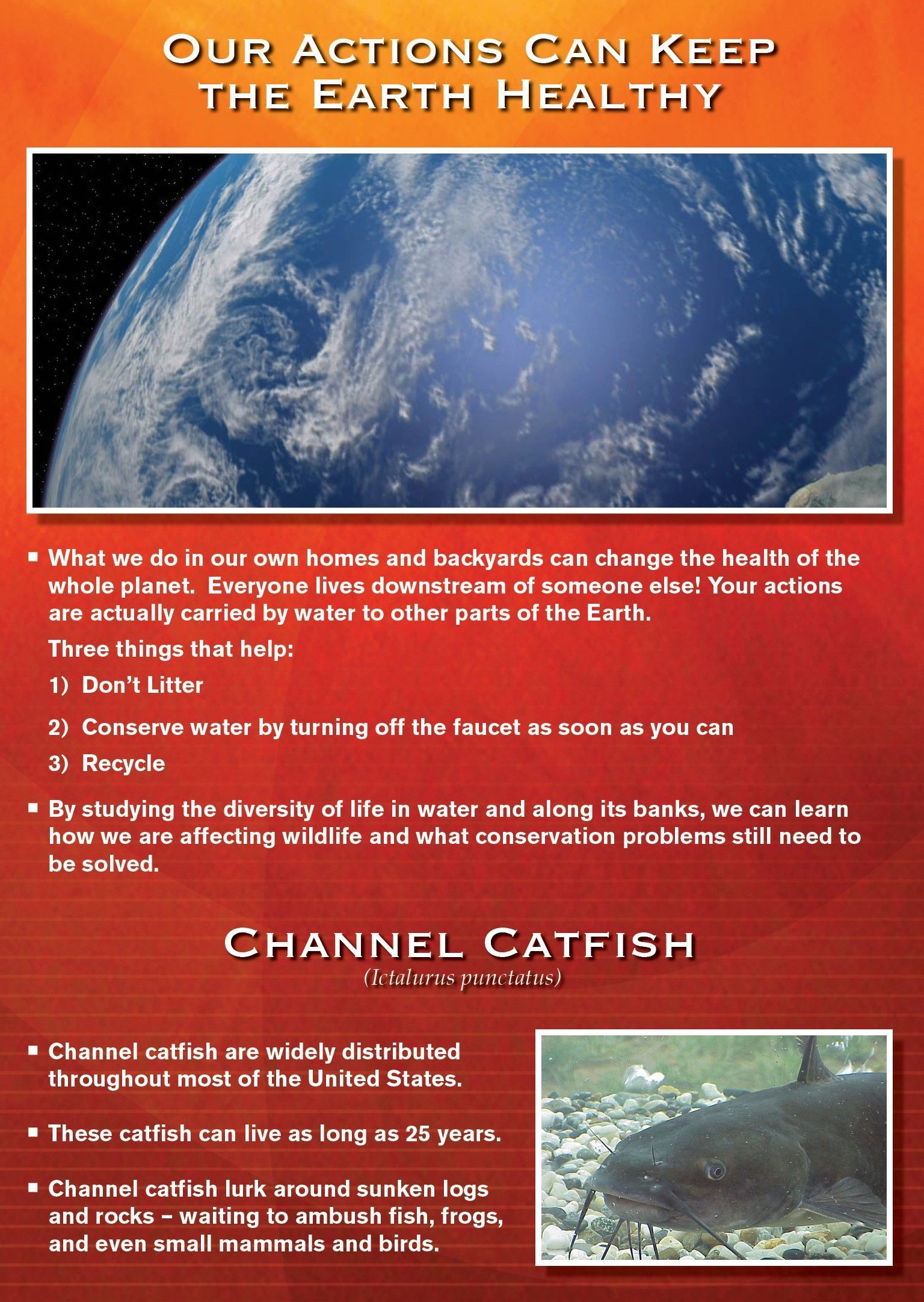 Earth with text: