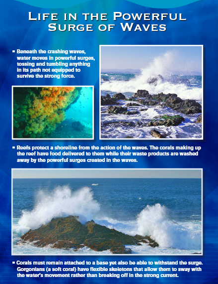 Waves crashing on rocks with text about life in the powerful surge.