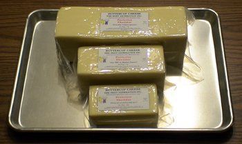 Protester Cheddar 1-lb Block