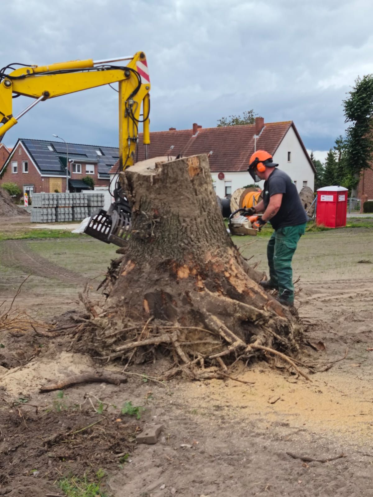 Wurzelentfernung – Arbeiten am Wurzelstock nach der Fällung