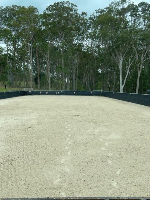 Horses in the Field - Professional Earthmovers in Grafton, NSW