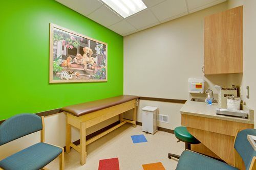 Bright pediatric exam room with green walls, exam table, sink, cabinets, and colorful floor mats