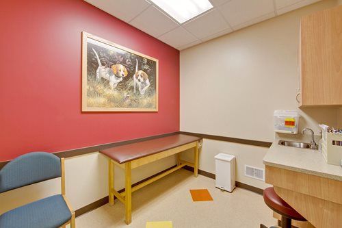 Small veterinary exam room with red wall, exam table, chairs, and countertop sink.