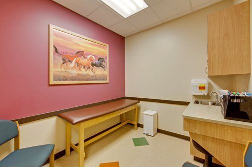 Empty medical exam room with pink walls, wooden bench, sink, cabinets, and a framed horse painting