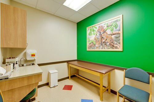Bright exam room with green wall, wooden desk, sink, and two blue chairs