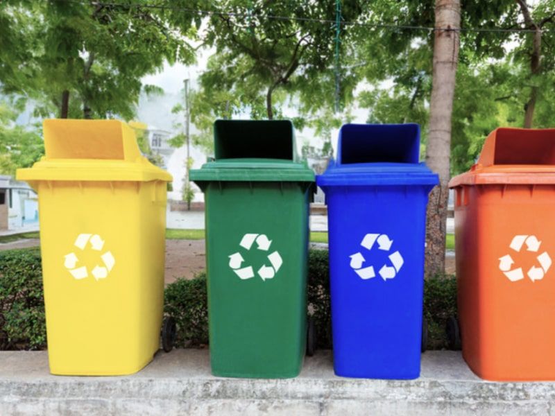 Trash bin cleaning