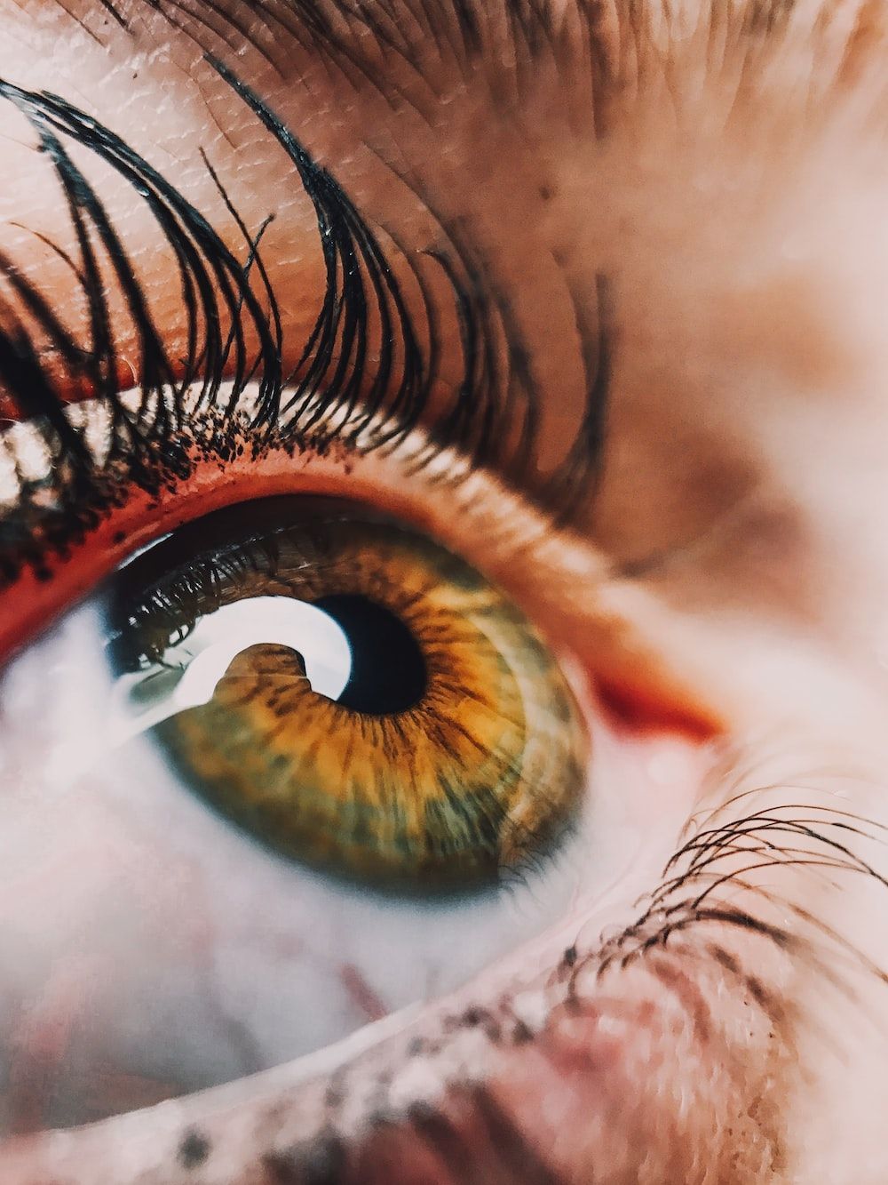 an eye with eye lashes