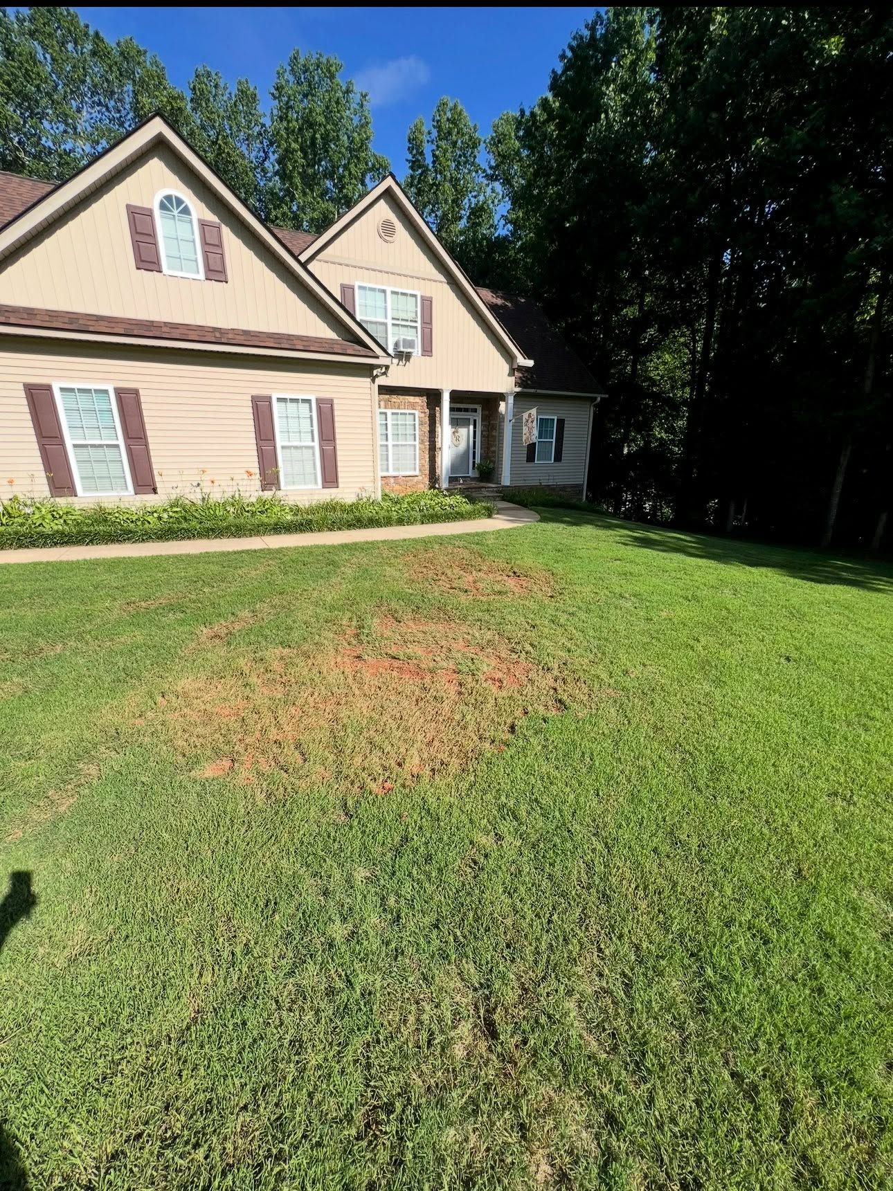 Suburban house with a patchy brown area in the front lawn under bright sunlight.