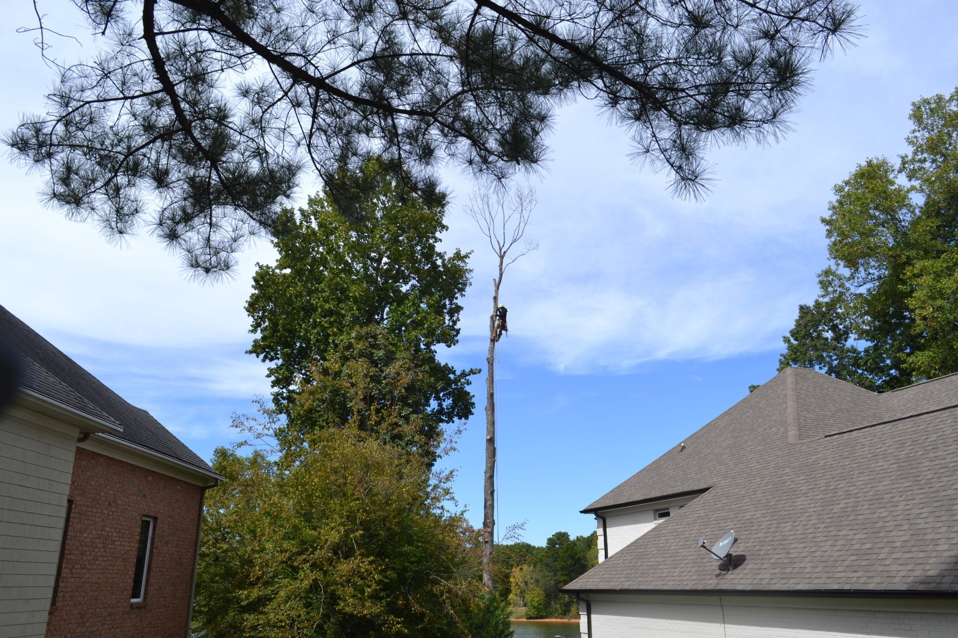 Stumpy's Tree Service - Tree Service in Lake Norman