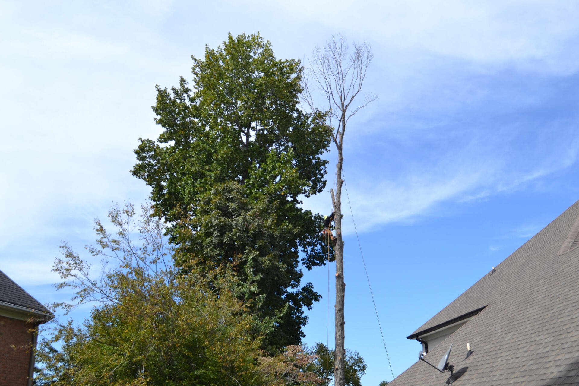 Stumpy's Tree Service - Tree Service in Lake Norman