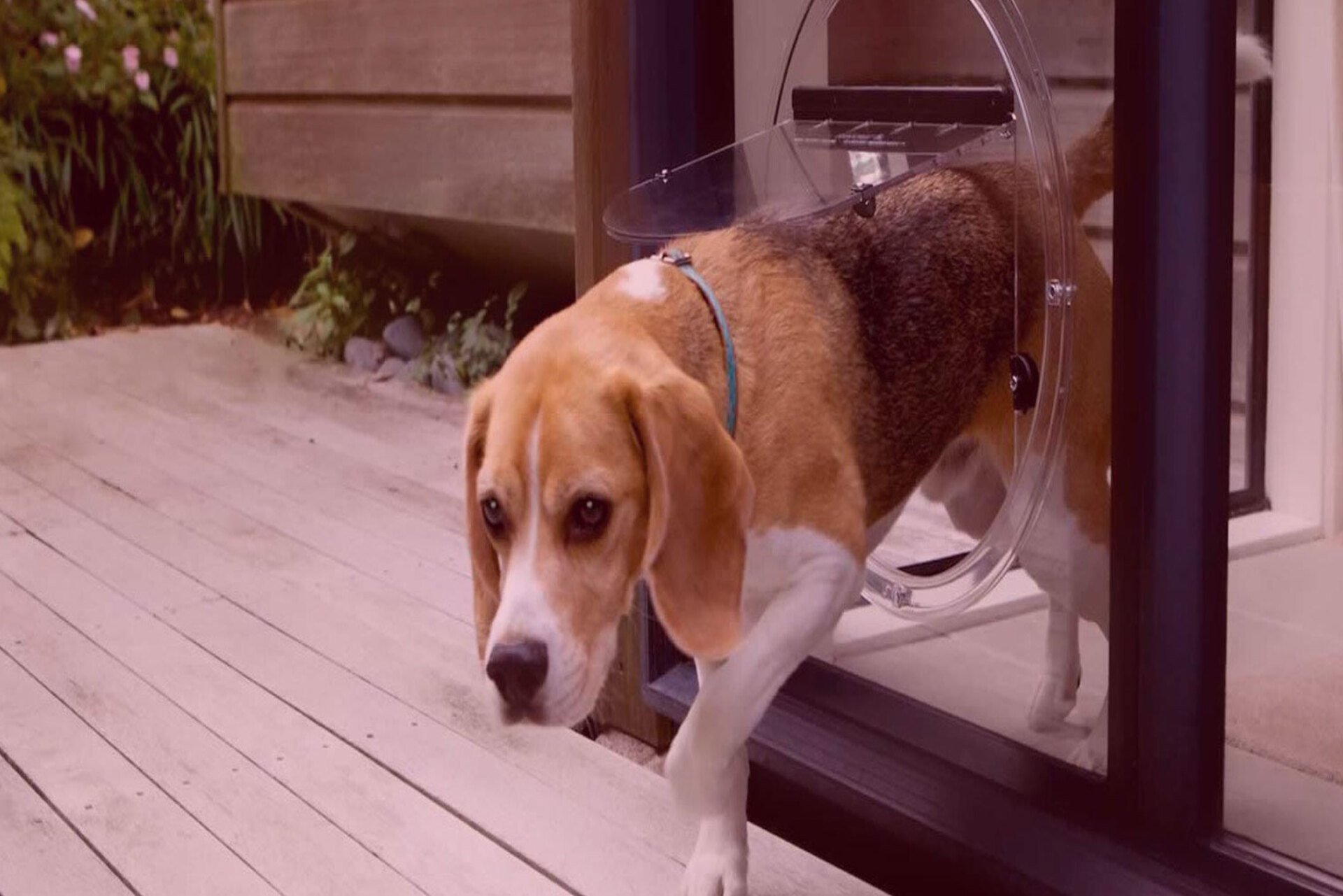 Glazier Perth Glass Repair, Installation & Maintenance