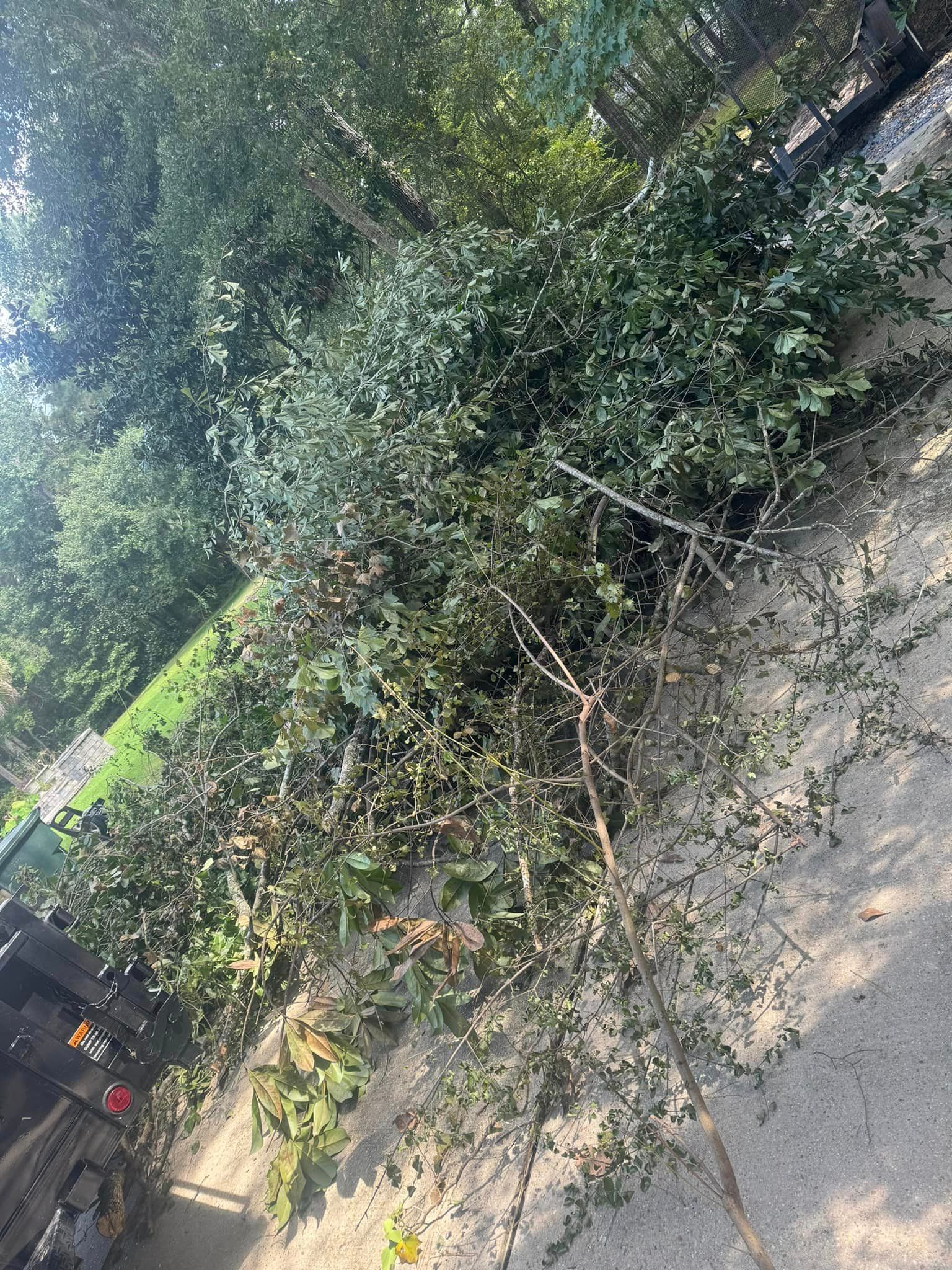 Junk Removal, Landscaper & Tree Service Covington, Louisiana Apex