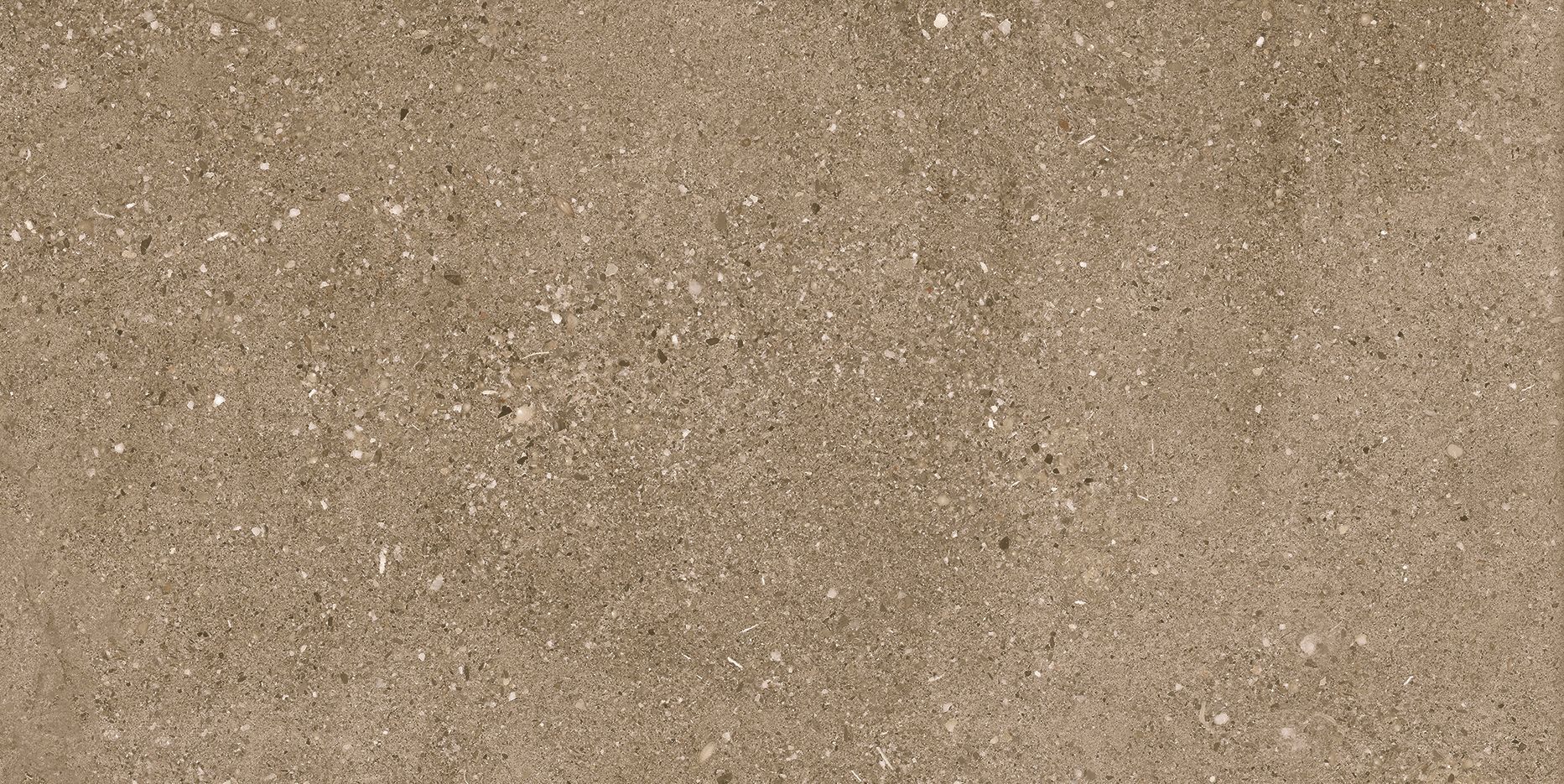 PRO FLUID BROWN