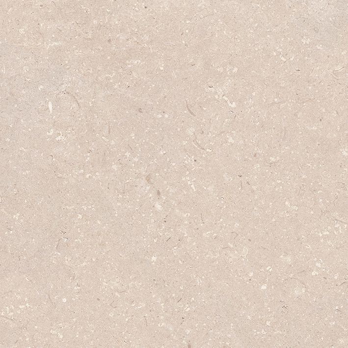 CORAL CALIZA L