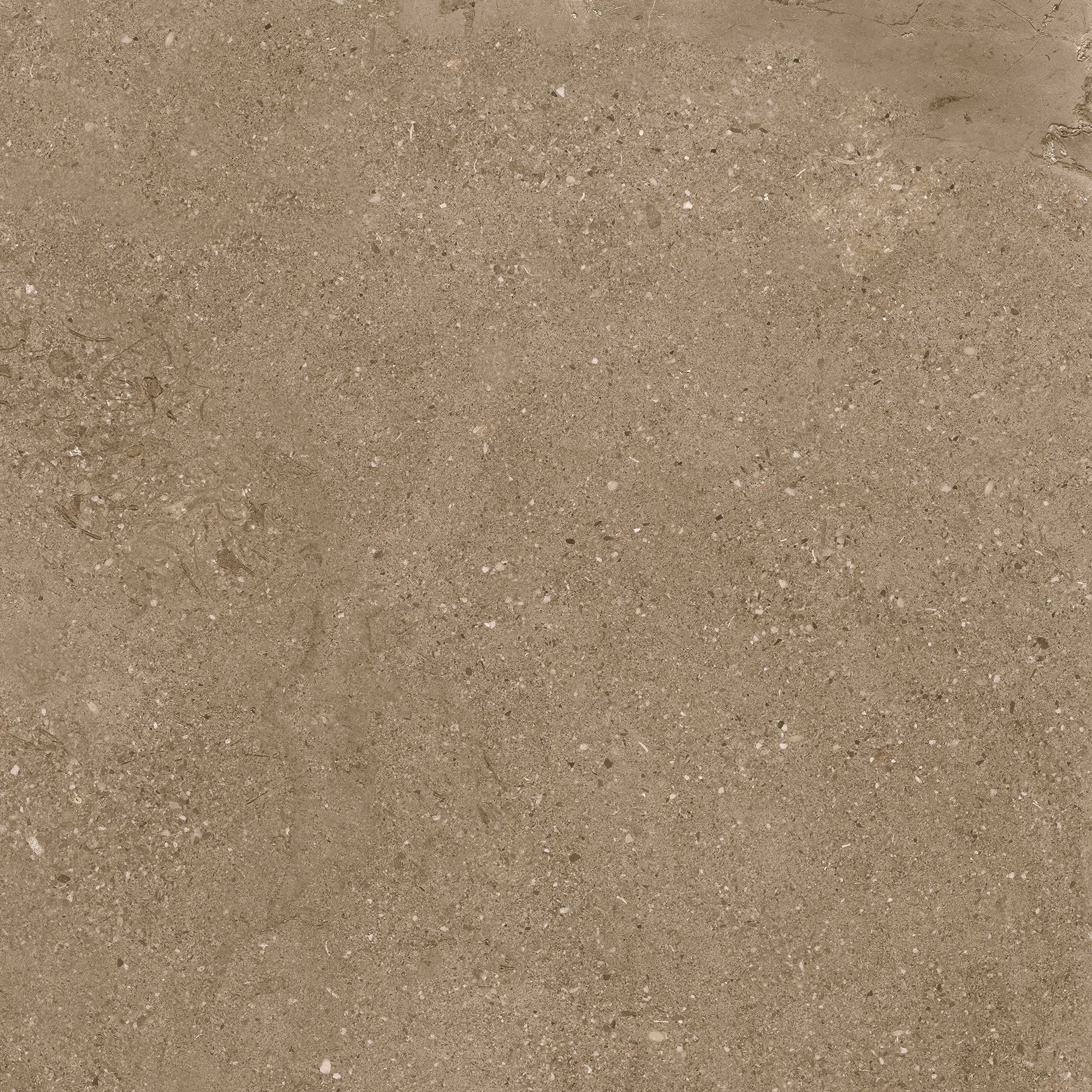 PRO FLUID BROWN