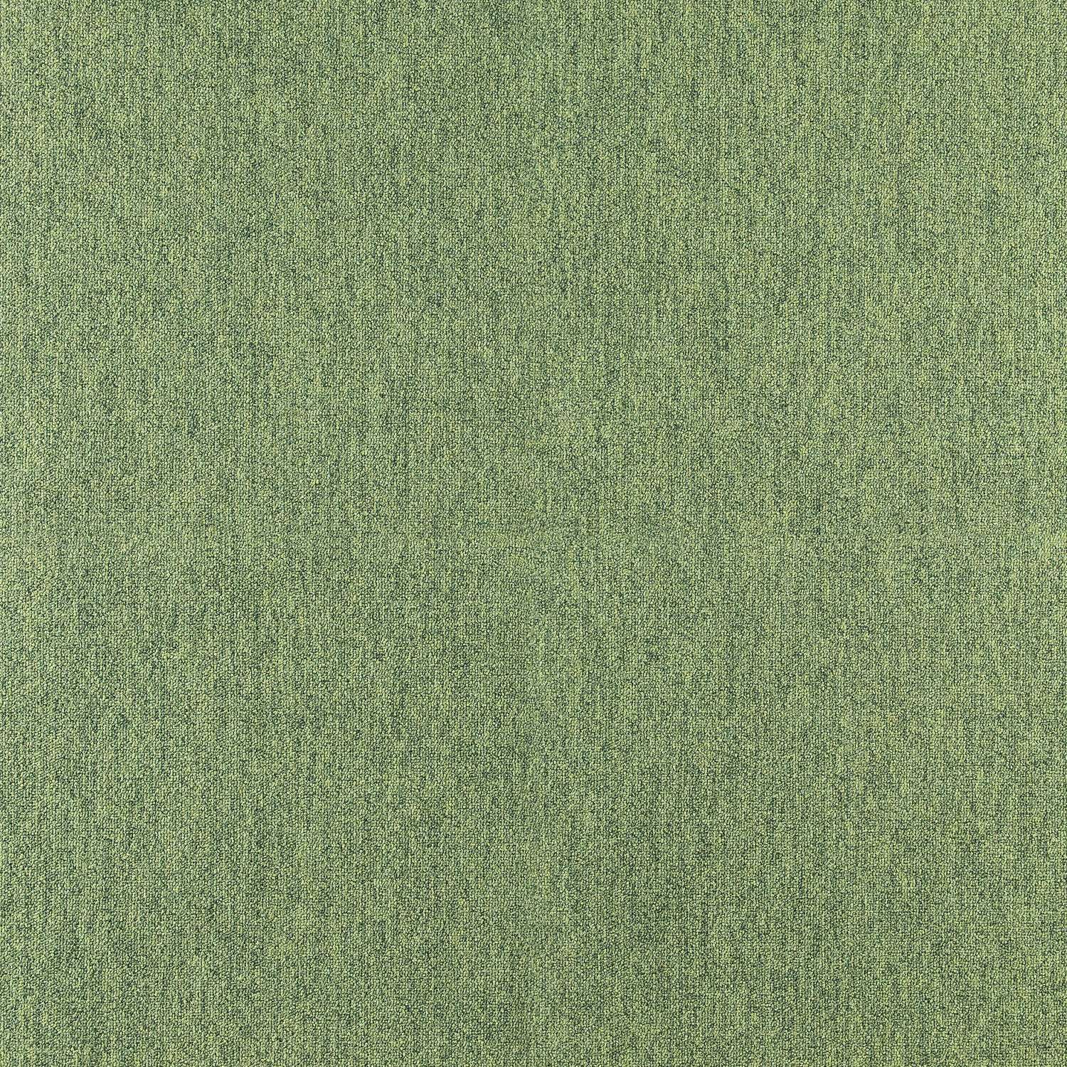 COBALT SDN 64073