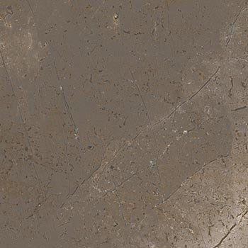 TREX // MARBLE