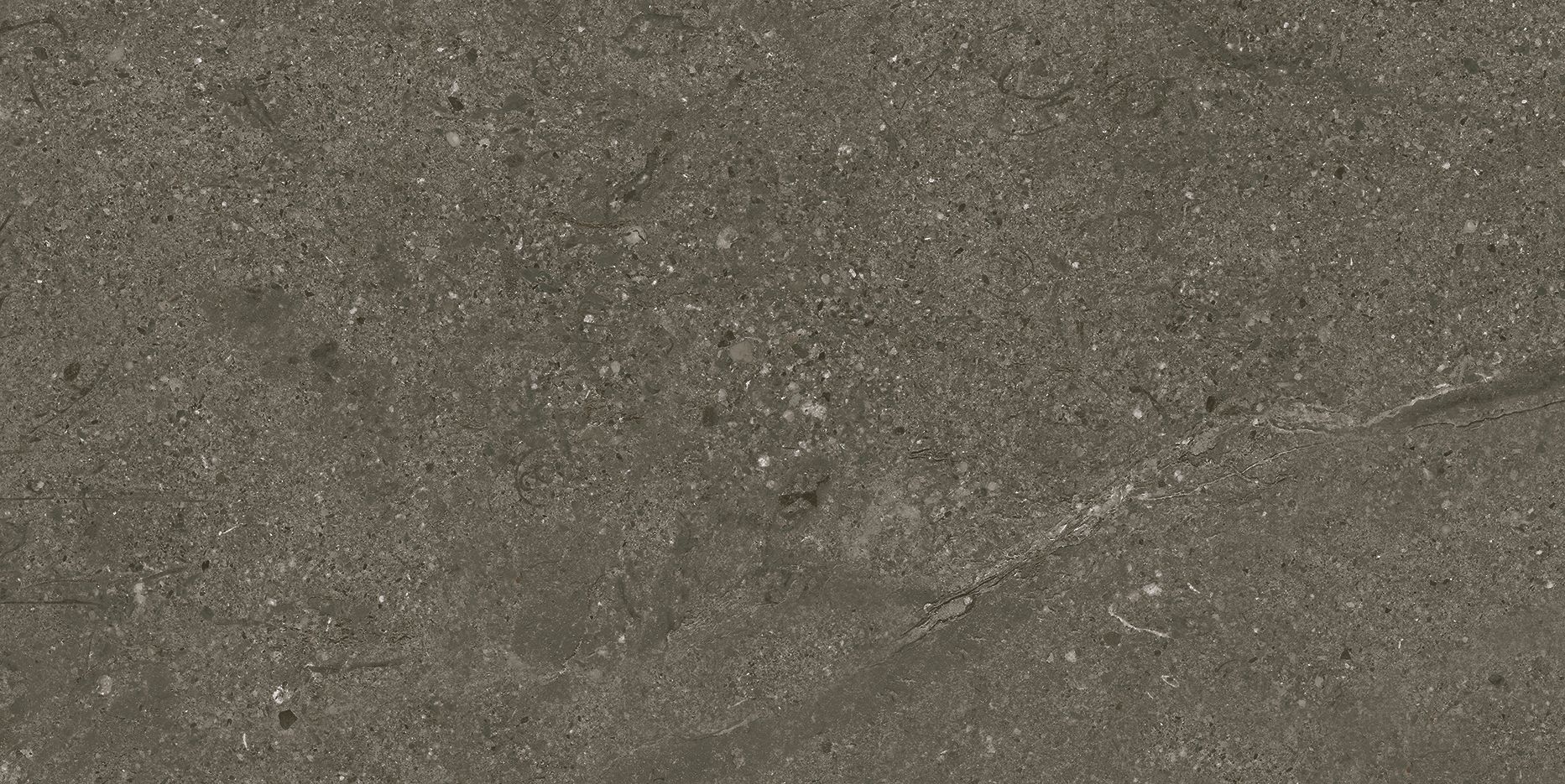 PRO FLUID ANTRACITE
