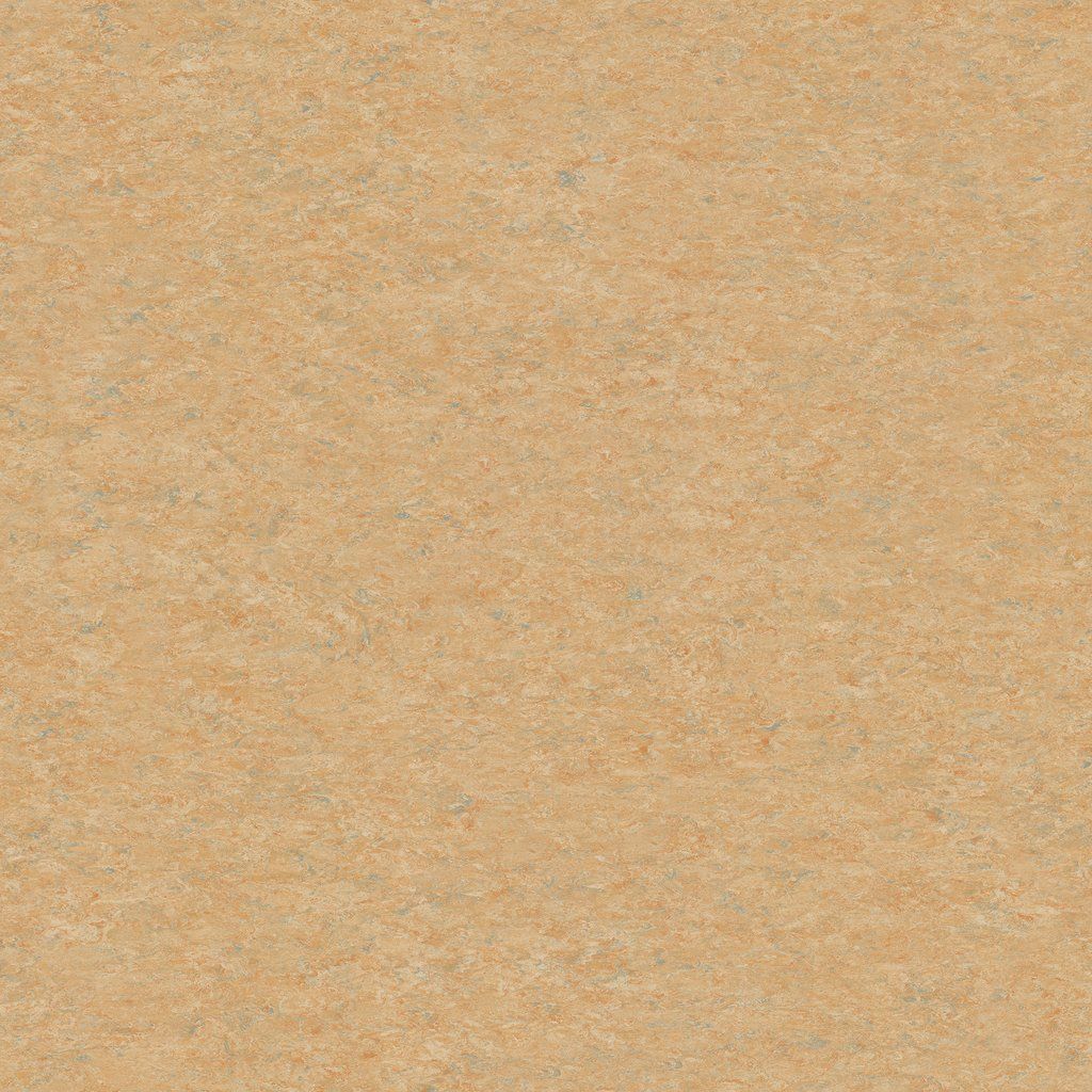 XF 2,5MM 2616 Camel